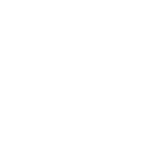 Duelliste